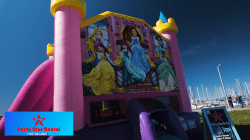 Disney Princess Combo (Wet or Dry)