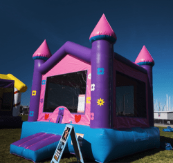 Screenshot202025 02 2820at204.44.5320PM 1744153293 Princess V-Roof Castle